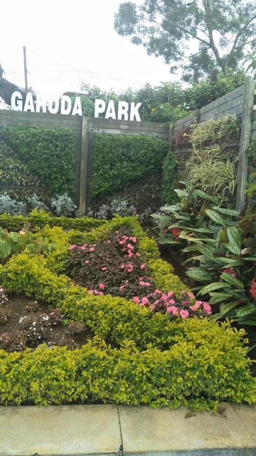 Garuda Park Resort Kotagiri Værelse billede